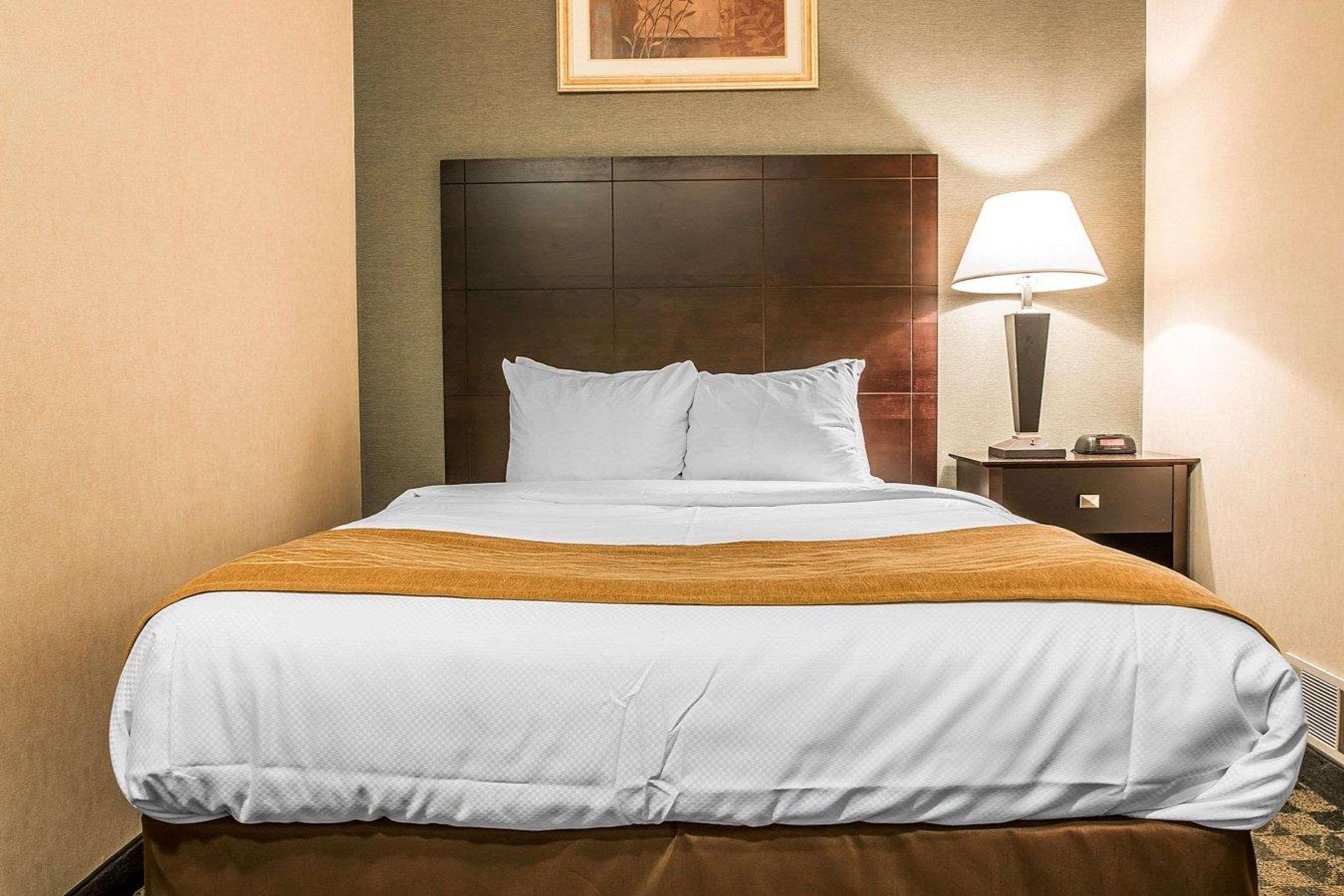 Comfort Inn Whitehall Near Michigan'S Adventure Bagian luar foto