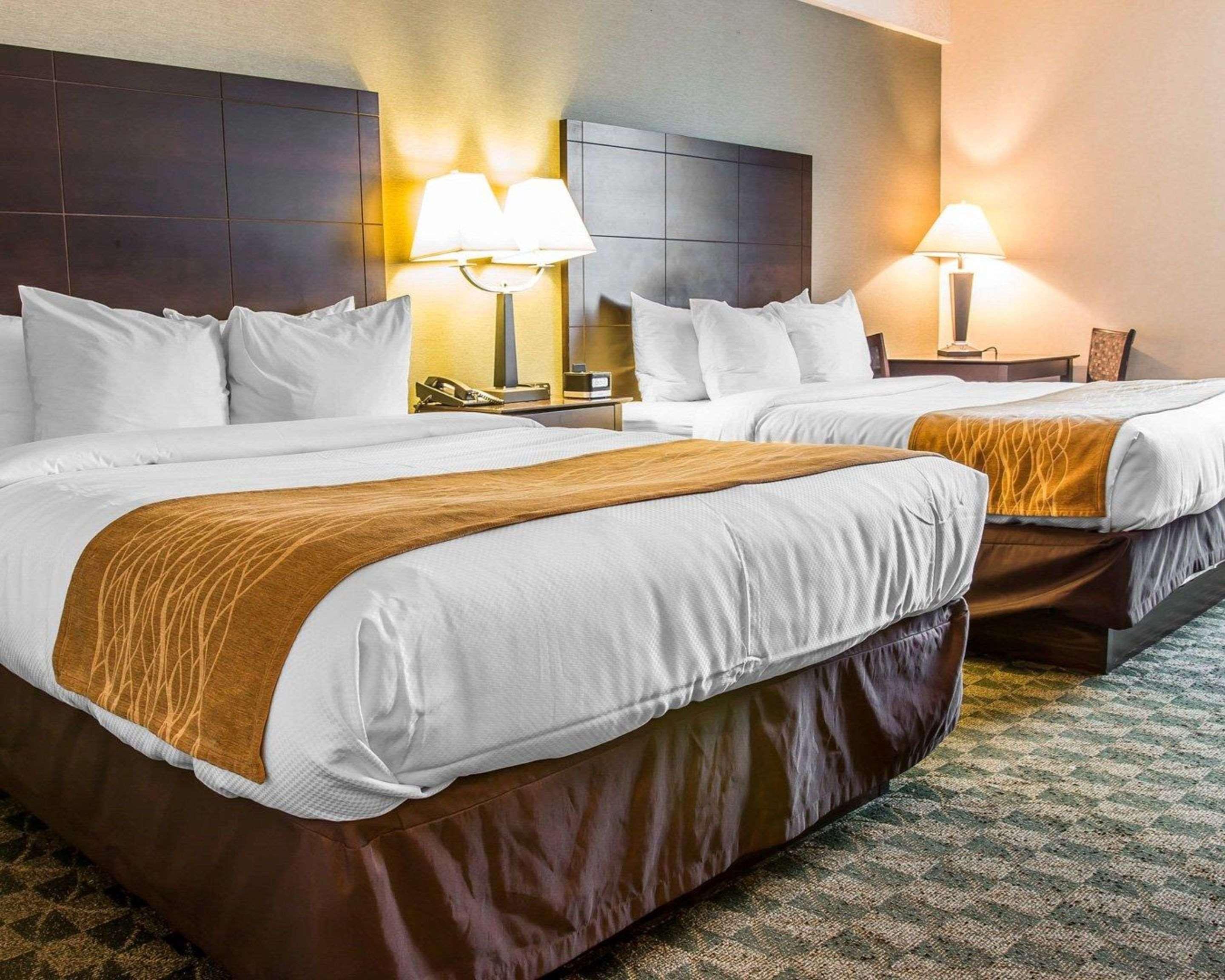 Comfort Inn Whitehall Near Michigan'S Adventure Bagian luar foto