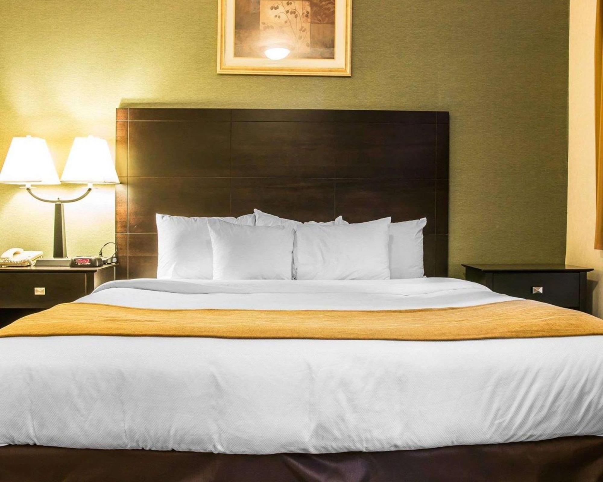 Comfort Inn Whitehall Near Michigan'S Adventure Bagian luar foto