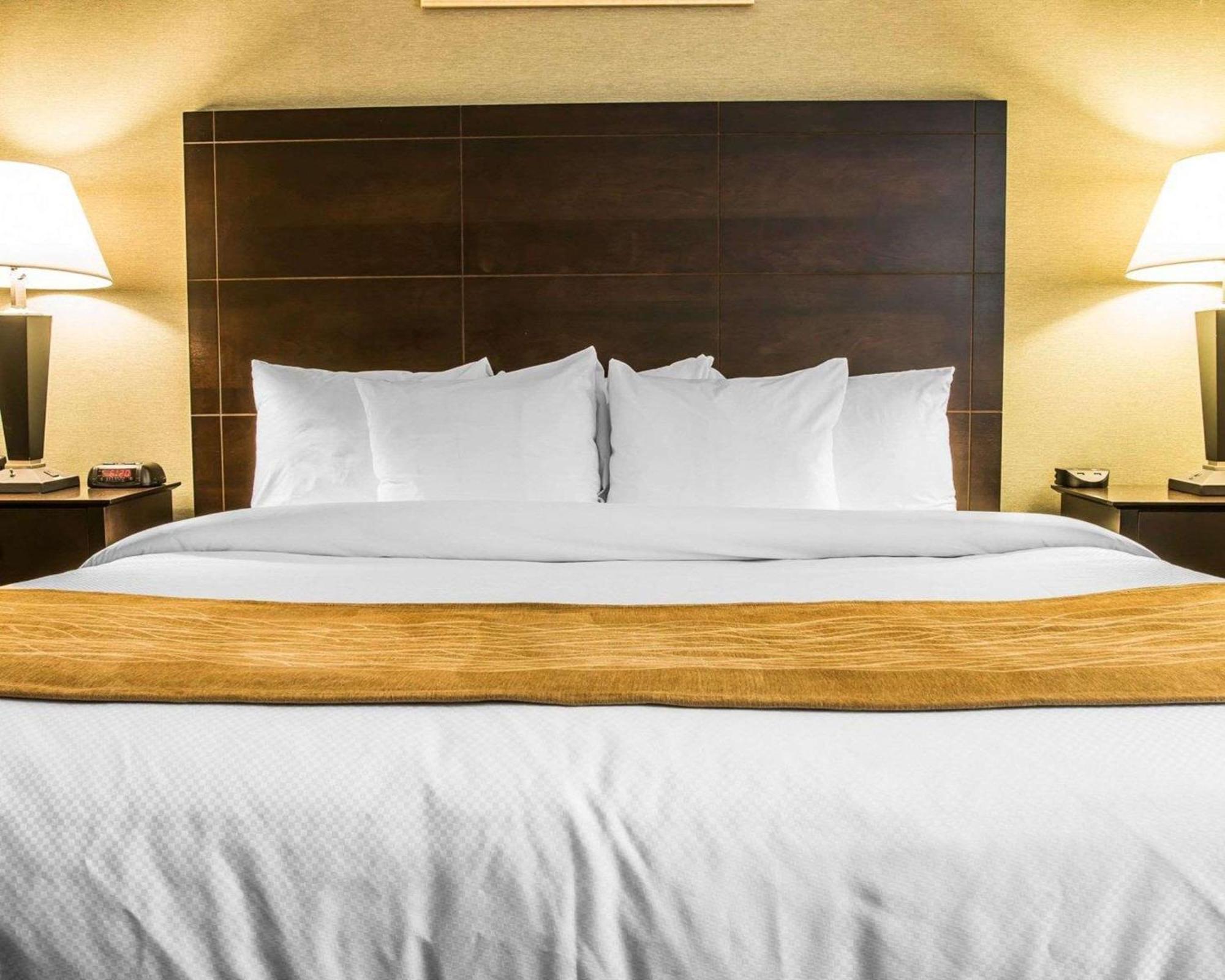 Comfort Inn Whitehall Near Michigan'S Adventure Bagian luar foto